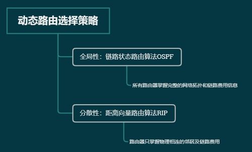 計算機網絡基礎 路由選擇協議與軟硬件及網絡技術開發